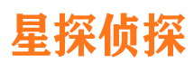 武定市场调查